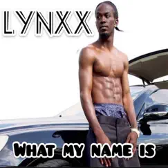 What My Name Is - Single by Lynxx album reviews, ratings, credits