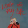 Love of my life - Single album lyrics, reviews, download