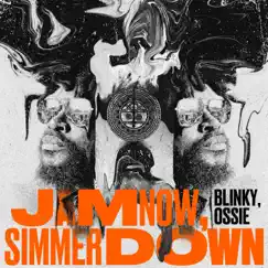 Jam Now, Simmer Down - Single by Blinky Bill album reviews, ratings, credits
