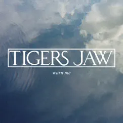 Warn Me - Single by Tigers Jaw album reviews, ratings, credits
