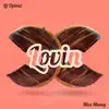 Lovin - Single album lyrics, reviews, download