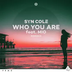 Who You Are (feat. MIO) [VIP Mix Extended] Song Lyrics