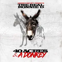 40 Acres & a Donkey Song Lyrics