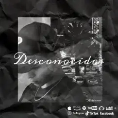 Desconocidos - Single by Astennu album reviews, ratings, credits