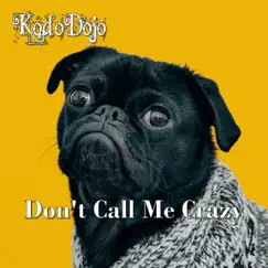 Don't Call Me Crazy - Single by KodoDojo album reviews, ratings, credits