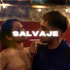 Salvaje (Candybby) - Single by Pedro Santo Records album reviews, ratings, credits