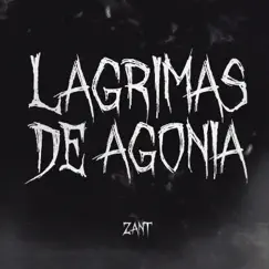 Lágrimas de Agonia - Single by Zant & Sadstation album reviews, ratings, credits