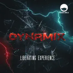 Liberating Experience - Single by Dynamix album reviews, ratings, credits