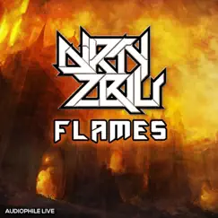 Flames (Blaster Remix) Song Lyrics