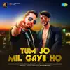 Tum Jo Mil Gaye Ho - Single album lyrics, reviews, download