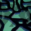 Amazonica Remixes - EP album lyrics, reviews, download