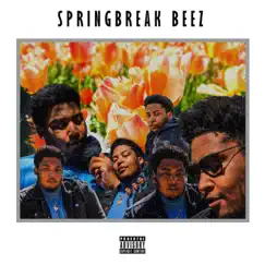 Springbreak Beez by Trvpbeez album reviews, ratings, credits