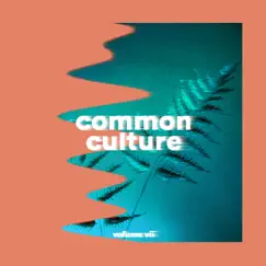 Common Culture, Vol. VII (album Commentary) Song Lyrics