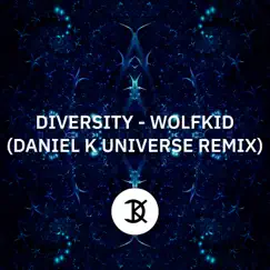 Diversity (Daniel K Universe Remix) [Radio Mix] Song Lyrics
