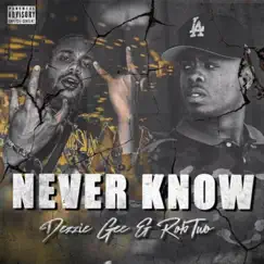 Never Know (feat. RobTwo) Song Lyrics