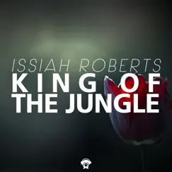 King of the Jungle (Radio Edit) Song Lyrics