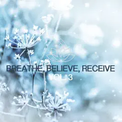 Breathe, Believe, Receive, Vol. 3 by Skylight+ album reviews, ratings, credits