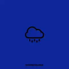 Overwhelmed - Single by Matt Crowder & Forever M.C. album reviews, ratings, credits