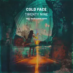 Twenty Nine - Single by Cold Face album reviews, ratings, credits