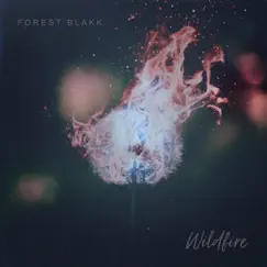 Wildfire - Single by Forest Blakk album reviews, ratings, credits