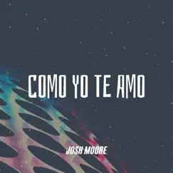 Como Yo Te Amo (feat. Mauri) Song Lyrics