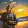 Beautiful Light - Single album lyrics, reviews, download
