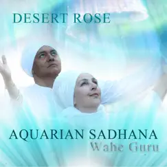 Aquarian Sadhana by Desert Rose album reviews, ratings, credits