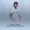 Kalunga - Single (feat. Filho do Zua) - Single album lyrics, reviews, download