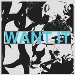 Want It Song Lyrics