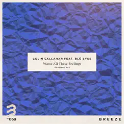 Waste All These Feelings (feat. BLÜ EYES) - Single by Colin Callahan album reviews, ratings, credits