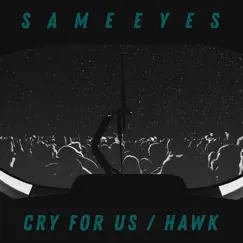 Cry for Us Song Lyrics
