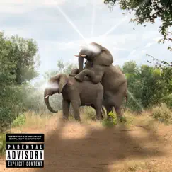 SAFARI Song Lyrics