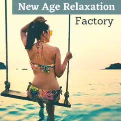 New Age Relaxation Factory - Ensemble Music to Master the Relaxation Techniques by Indigo Flower album reviews, ratings, credits