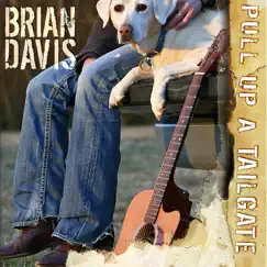 Pull Up a Tailgate by Brian Davis album reviews, ratings, credits