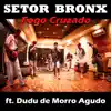 Fogo Cruzado (feat. Dudu de Morro Agudo) - Single album lyrics, reviews, download