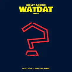 Watdatmean Song Lyrics