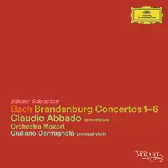 Brandenburg Concerto No. 5 in D, BWV 1050: I. Allegro Song Lyrics