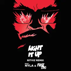 Light It Up (feat. Nyla & Fuse ODG) [Ritviz Diwali Edition] Song Lyrics