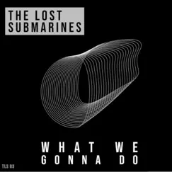 What We Gonna Do - Single by The Lost Submarines album reviews, ratings, credits