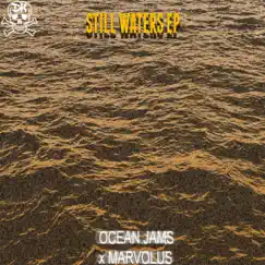 Still Waters - EP by [ocean jams] album reviews, ratings, credits