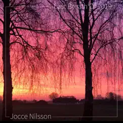 Last Breath Of 2019 - Single by Jocce Nilsson album reviews, ratings, credits