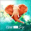 Soy (feat. Sotomayor) - Single album lyrics, reviews, download