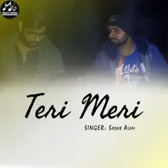 Teri Meri Song Lyrics