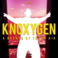 Knoxygen (A Breath of Fresh Air) by An Artist Named Flizz album reviews, ratings, credits