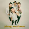 PIANGI UN FIUME (feat. Nese Ikaro) - Single album lyrics, reviews, download