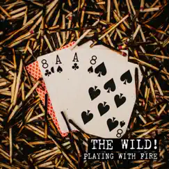 Playing With Fire by The Wild! album reviews, ratings, credits