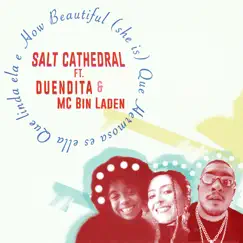 How Beautiful (She Is) [feat. Duendita & MC Bin Laden] - Single by Salt Cathedral album reviews, ratings, credits