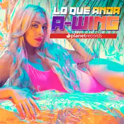 Lo Que Anda (Extended Version) Song Lyrics