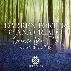 Dream Like I Do (Zetandel Remix) - Single by Darren Porter & Ana Criado album reviews, ratings, credits