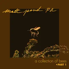 A Collection of Bees, Pt. 1 by Matt Pond PA album reviews, ratings, credits
